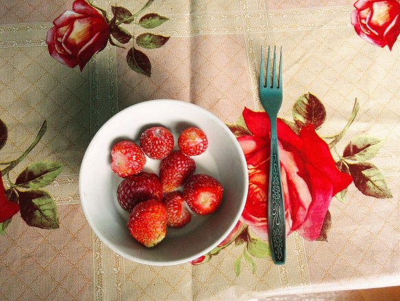 Erdbeeren_Kasachstan