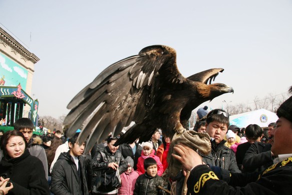 Kasachstan_Greifvogel
