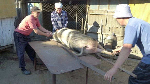 Schlachtfest_Kasachstan