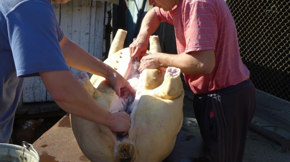 Innereien_Schlachtfest_Kasachstan