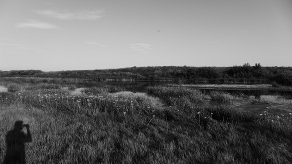 Fluss_Landschaft_Selbstporträt