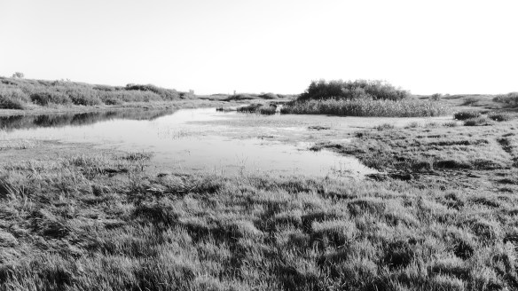 Fluss_Tobol_Kasachstan