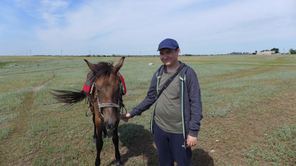 Pferd_mit_Berliner_Kasachstan