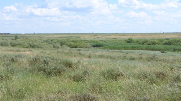Steppe in Kasachstan